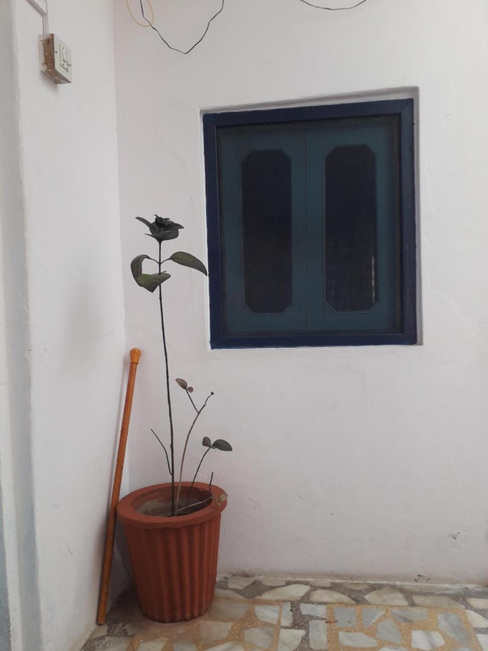 Rajguru Guest House Pushkar Esterno foto